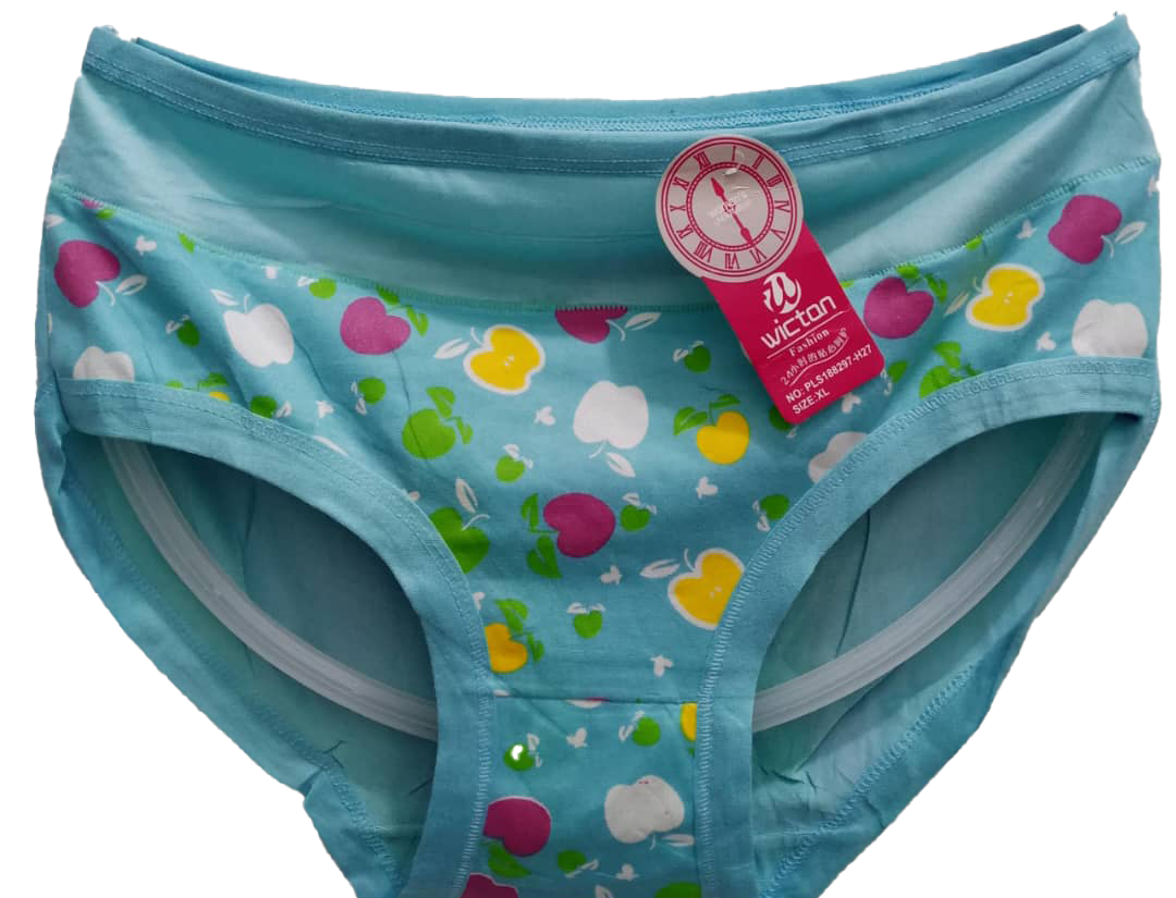 Fancy Affordable Women's Underwear  EPR2d – AGT Plaza - One Stop  Marketplace