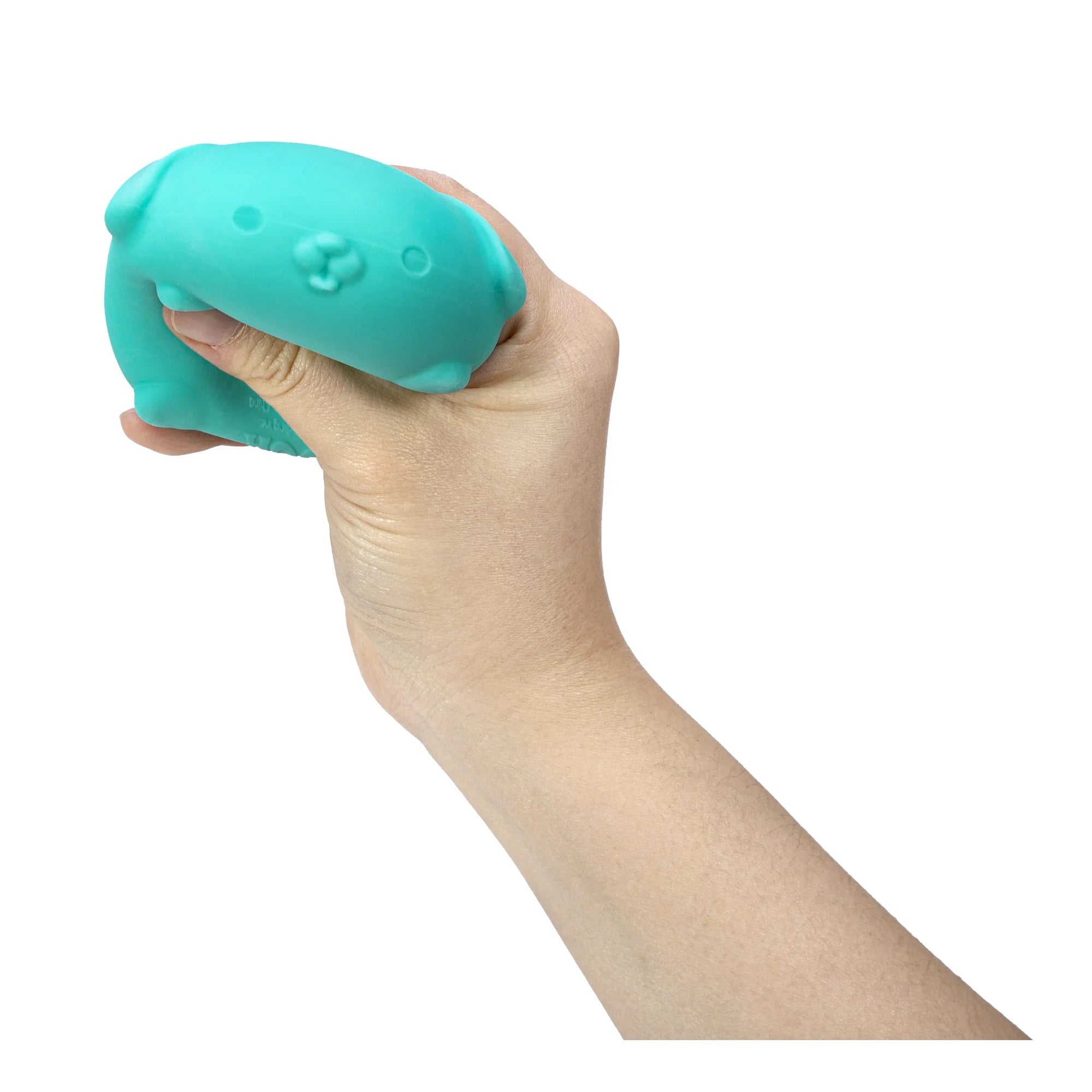 NeeDoh Funky Pup Novelty Fidget Toy, Multiple Colors, Children Ages 3+ |  WTWL932XA