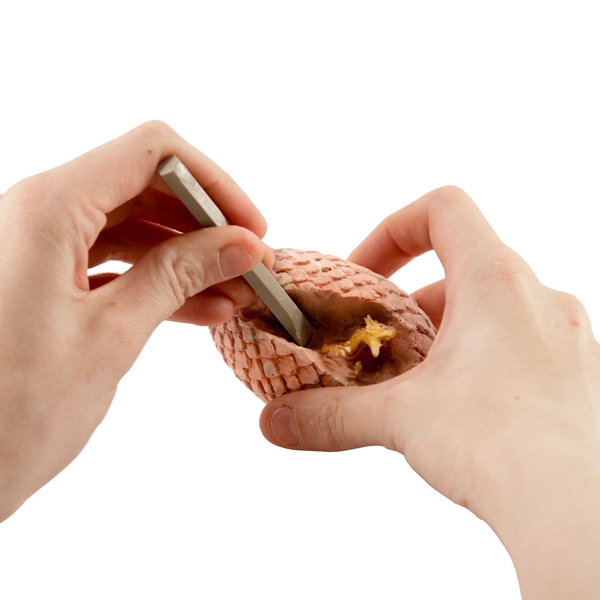 Thames & Kosmos, I Dig It! Dragons - Egg Excavation Science Kit, Styles May Vary, Unisex, Children Ages 5+  |  WTWL1005XA