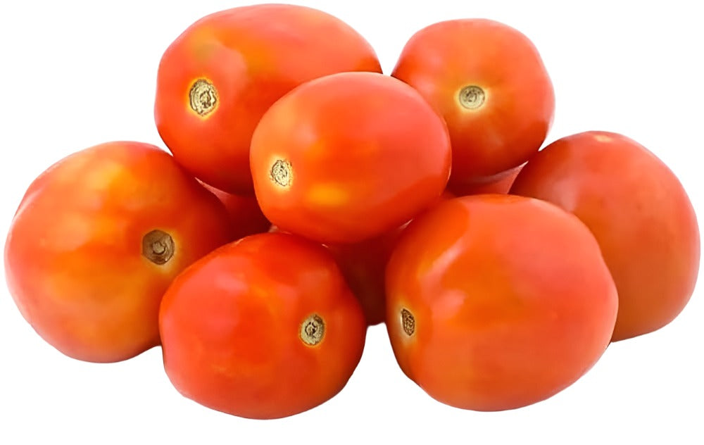 Paint of Fresh Tomato | MMF21a