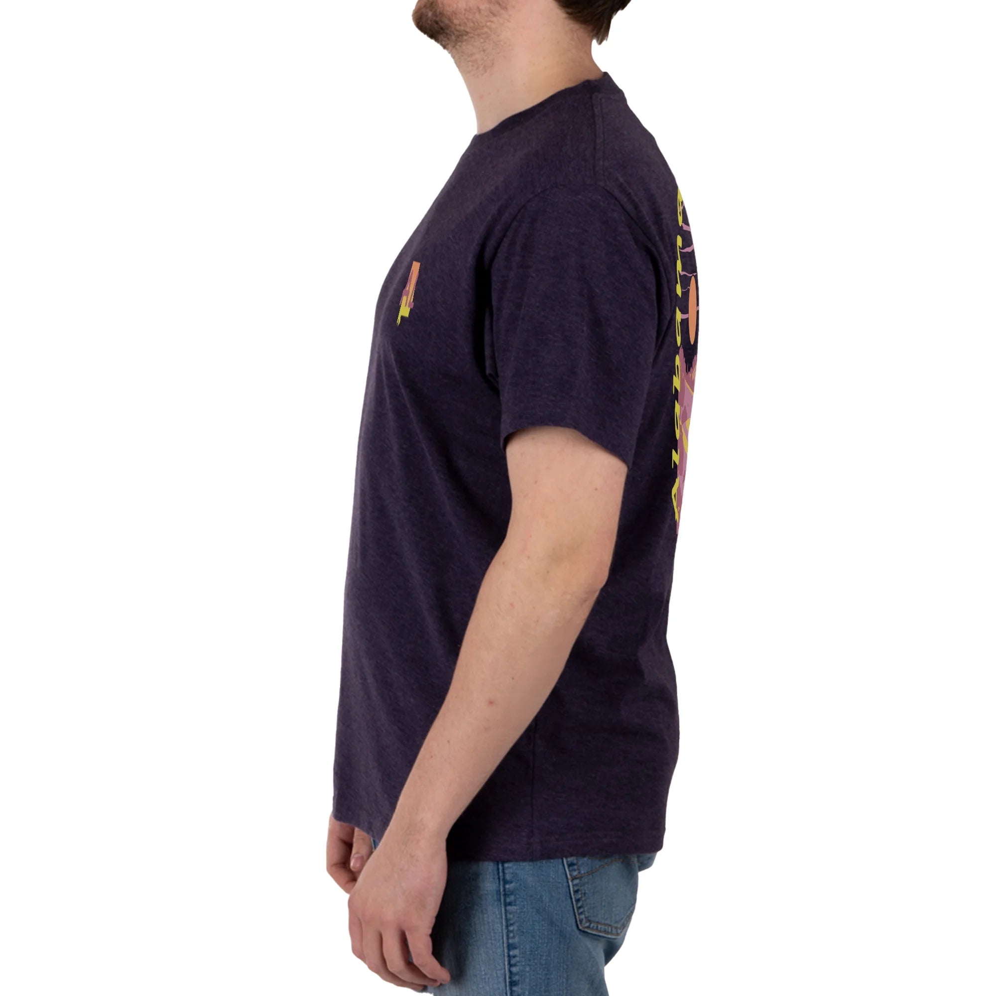 Unisex Florida State Graphic Tee, Triblend T-Shirt from Home Free, Sizes S-2XL  |  WTWL1057XB