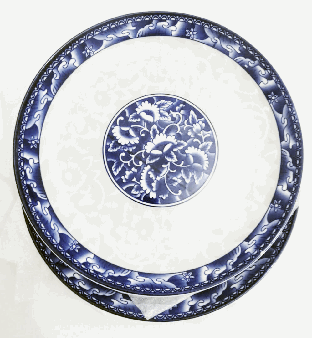 Best Selling Set of Affordable Top Quality Ceramic Breakable Flat Plate (10 Inches) | AHB51a