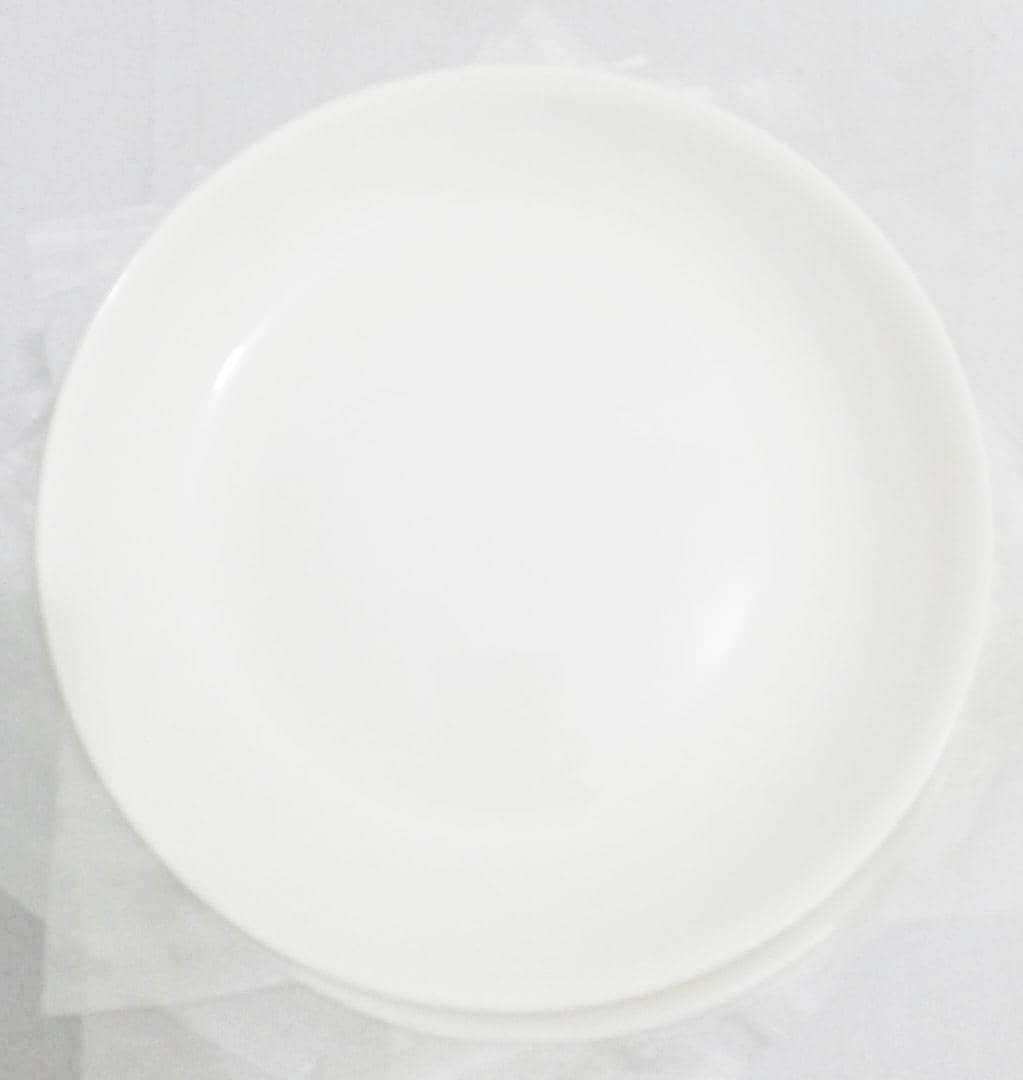 Fancy Top Quality Ceramic Breakable Flat Plate Set (10 Inches) | AHB52a