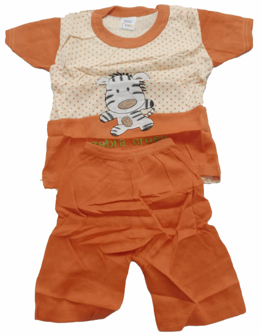 Adorable Elegant Newborn Up & Down Clothes Matching Set (Shirt & Pants) for Baby Boy | BLC6b