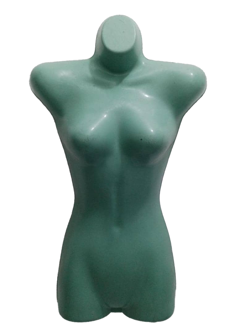Woman Image Mannequin (Upper Body) | CHR2a