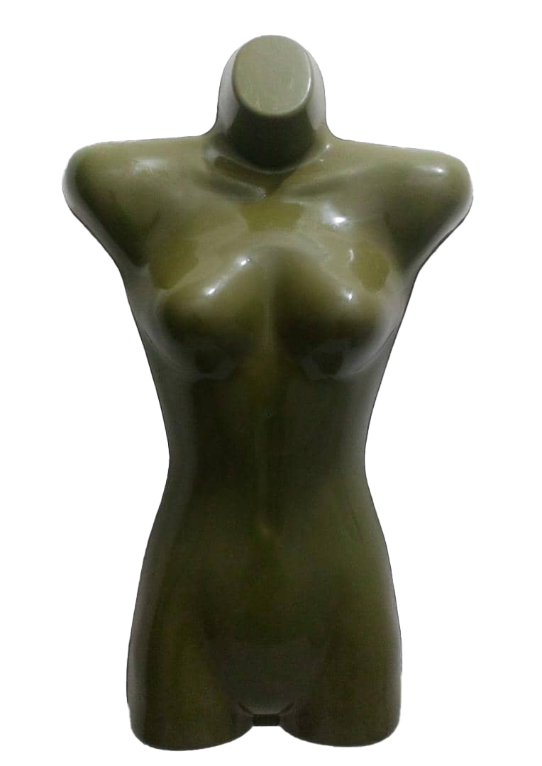 Woman Image Mannequin (Upper Body) | CHR2b