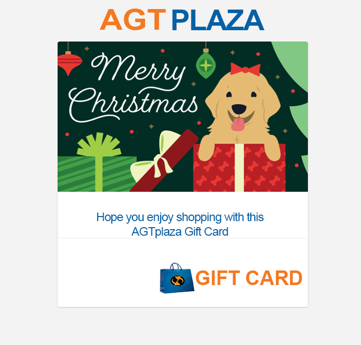 Christmas Gift Card | VFDGT5