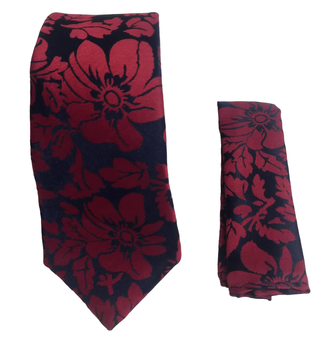 Stylish Modern Fashion Tie Set | DLB101a