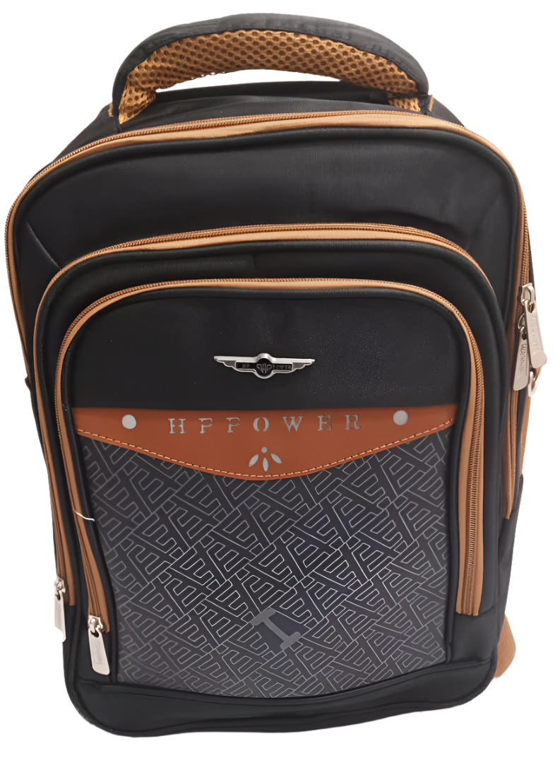 Stylish Designer Laptop Backpack Bag | ECB23a