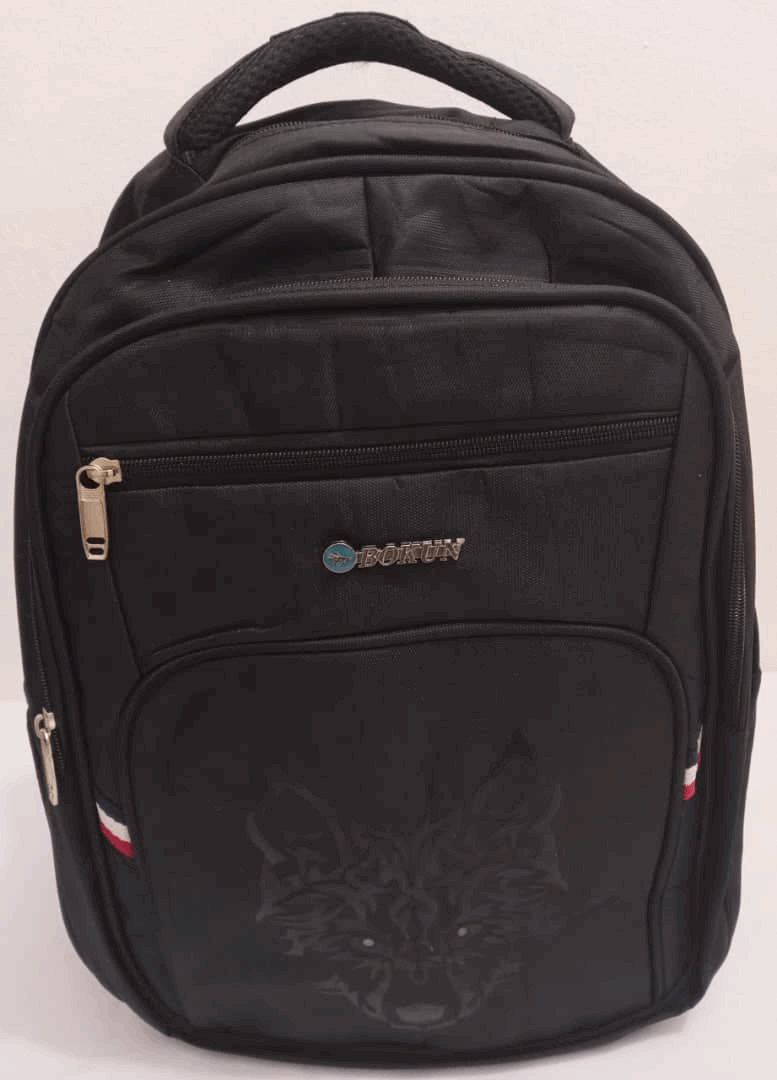 Affordable Designer Laptop Backpack Bag | ECB26a