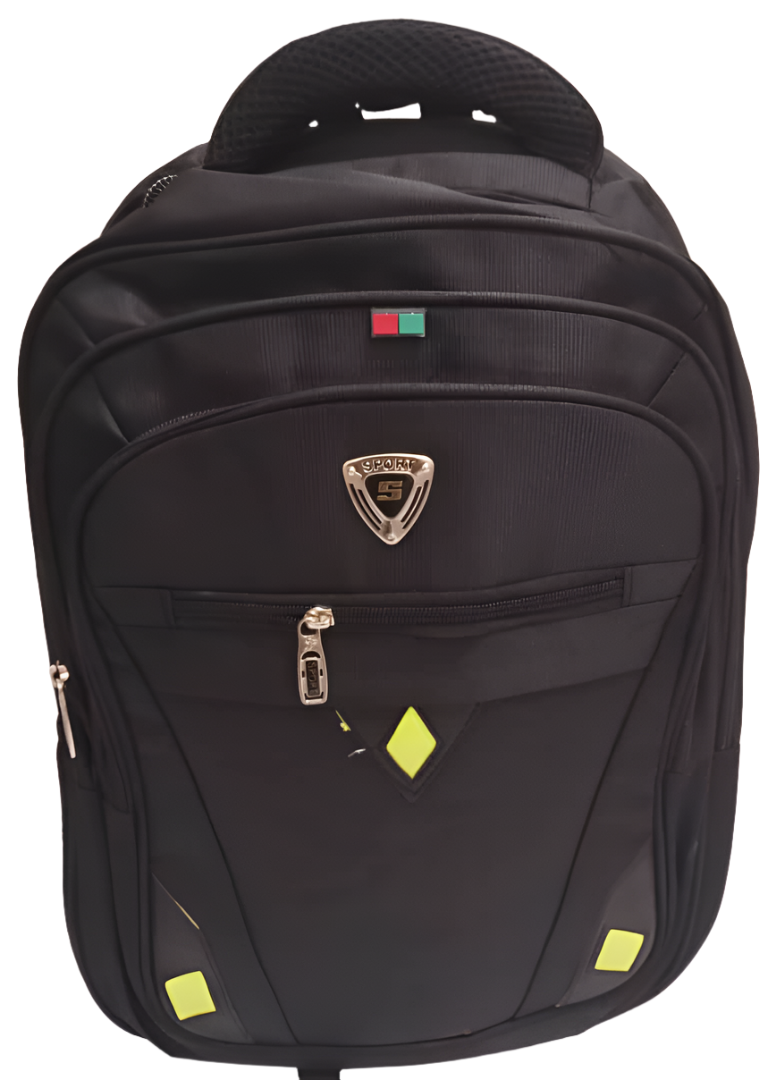 Designer Classy Laptop Backpack Bag | ECB52a