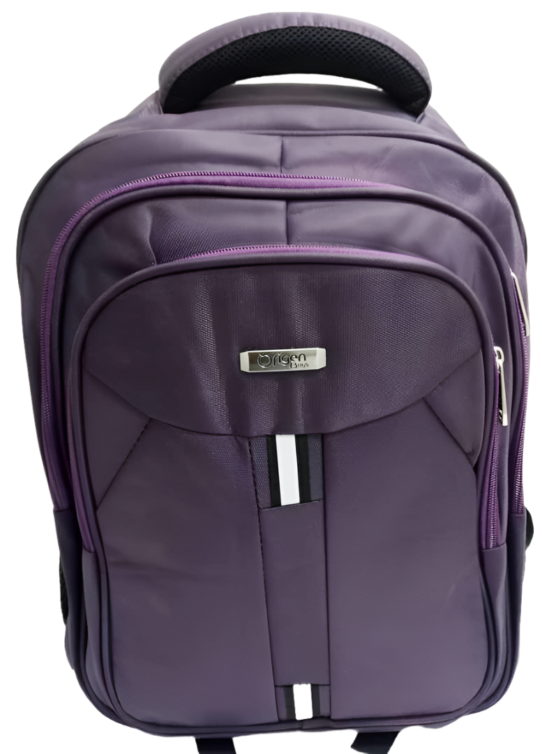 Stylish Designer Laptop Backpack Bag | ECB23a