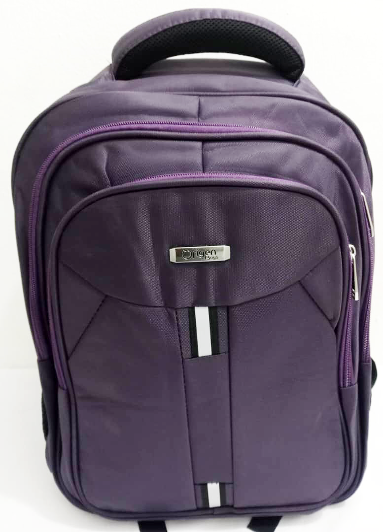 Stylish Designer Laptop Backpack Bag | ECB71a