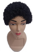 Natural Afro Hair Wig  |  EGN20a
