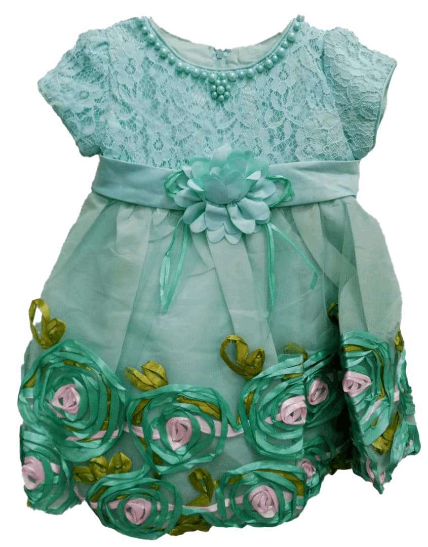 Beautiful Special Occasion Dress (Gown) for Girls | ESG2a