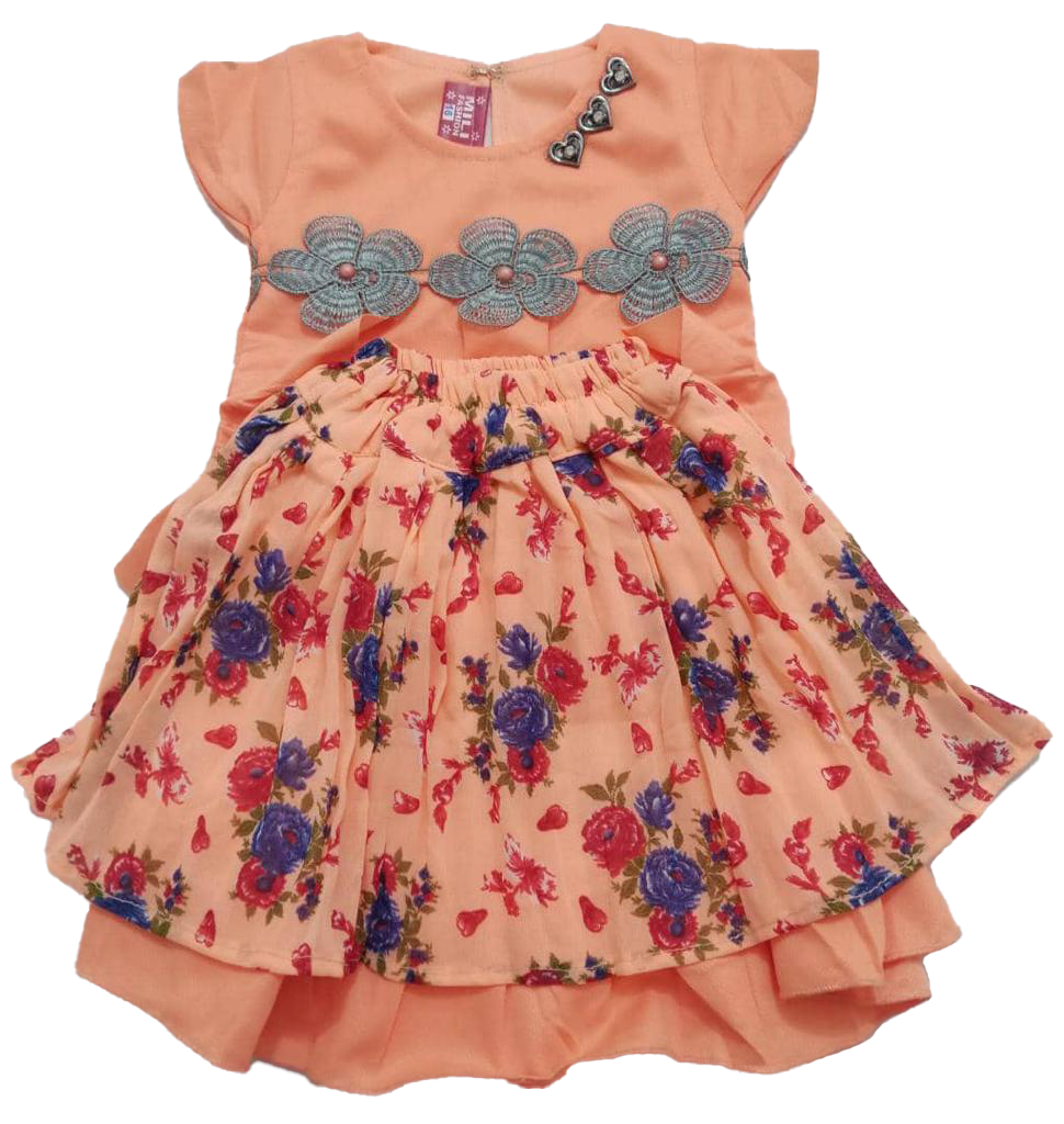 Top Quality Designer Matching Set Skirt and Blouse for Girls | ESG51b