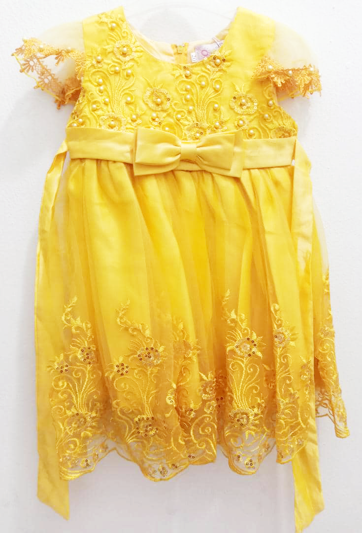 Fancy Stylish Special Occasion Designer Dress for Girls | ESG5b