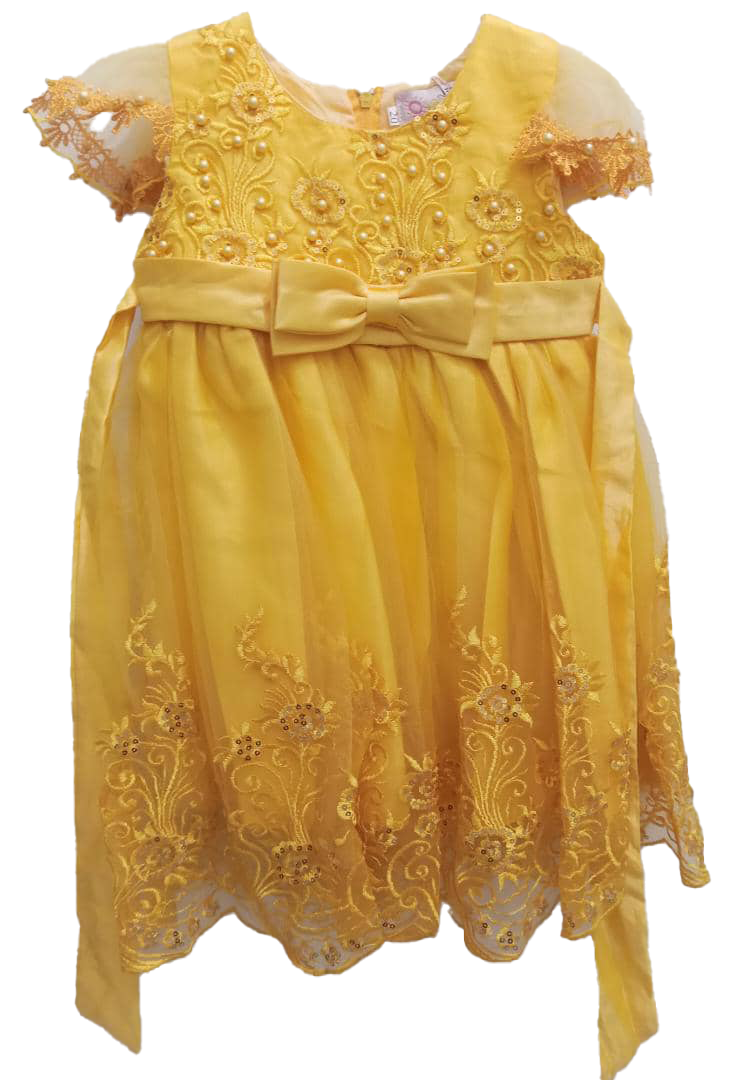 Fancy Stylish Special Occasion Designer Dress for Girls | ESG5b