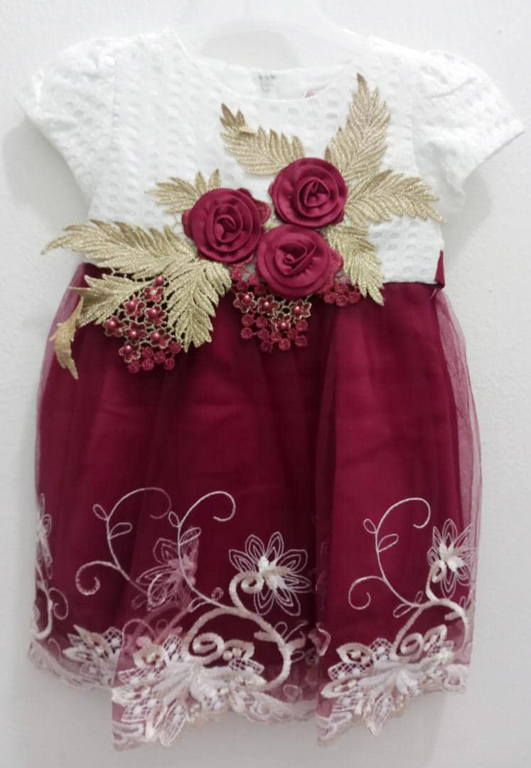 Stylish Fancy Special Occasion Designer Dress for Girls | ESG6a