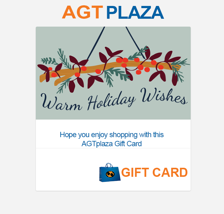 Happy Holiday Gift Card | VFDGT29