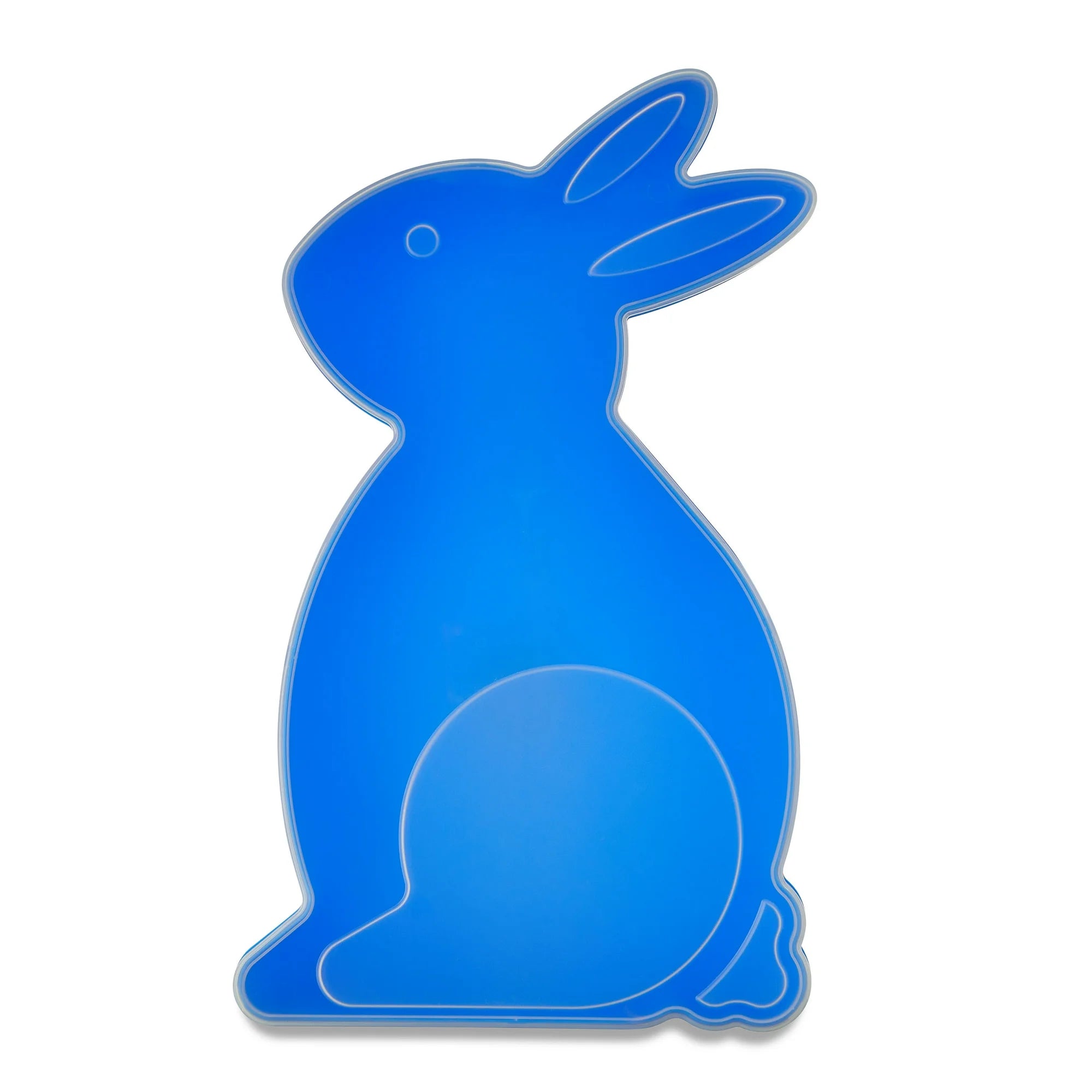 Plastic Bunny Shape Container | WTWL886XA