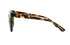 Foster Grant Women's Oversized Tortoise Fashion Sunglasses Brown M10 | WTWL14XA
