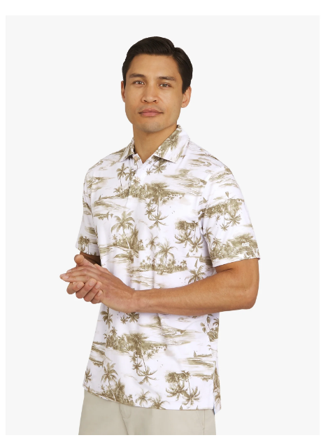 Chaps Men's and Big Men's Everyday Performance Printed Polo Shirt, Sizes S-3XL | WTWL579XA