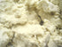 African Raw Shea Butter White 8oz