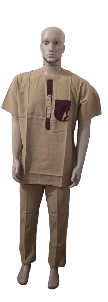 Elegant 2-Pieces Short Sleeve Senator Suit For Men, Carton | ENC54a