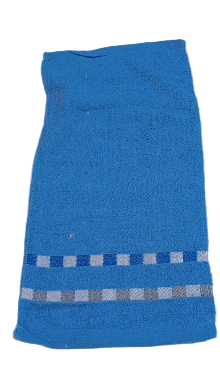 Regmayor Quality Towel, Blue | GOM10a