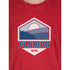 Unisex Florida State Graphic Tee, Triblend T-Shirt from Home Tree | WTWL1065XA