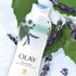 Olay Fresh Outlast Body Wash, Notes of Birch Water & Lavender, 22 fl oz | MTTS304
