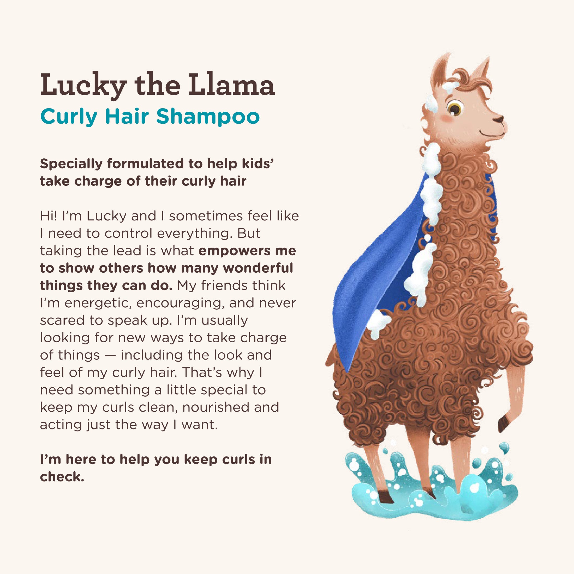 Aveeno Kids Curly Hair Shampoo, Tear Free Curl Hair Products, 12 fl. oz | MTTS372