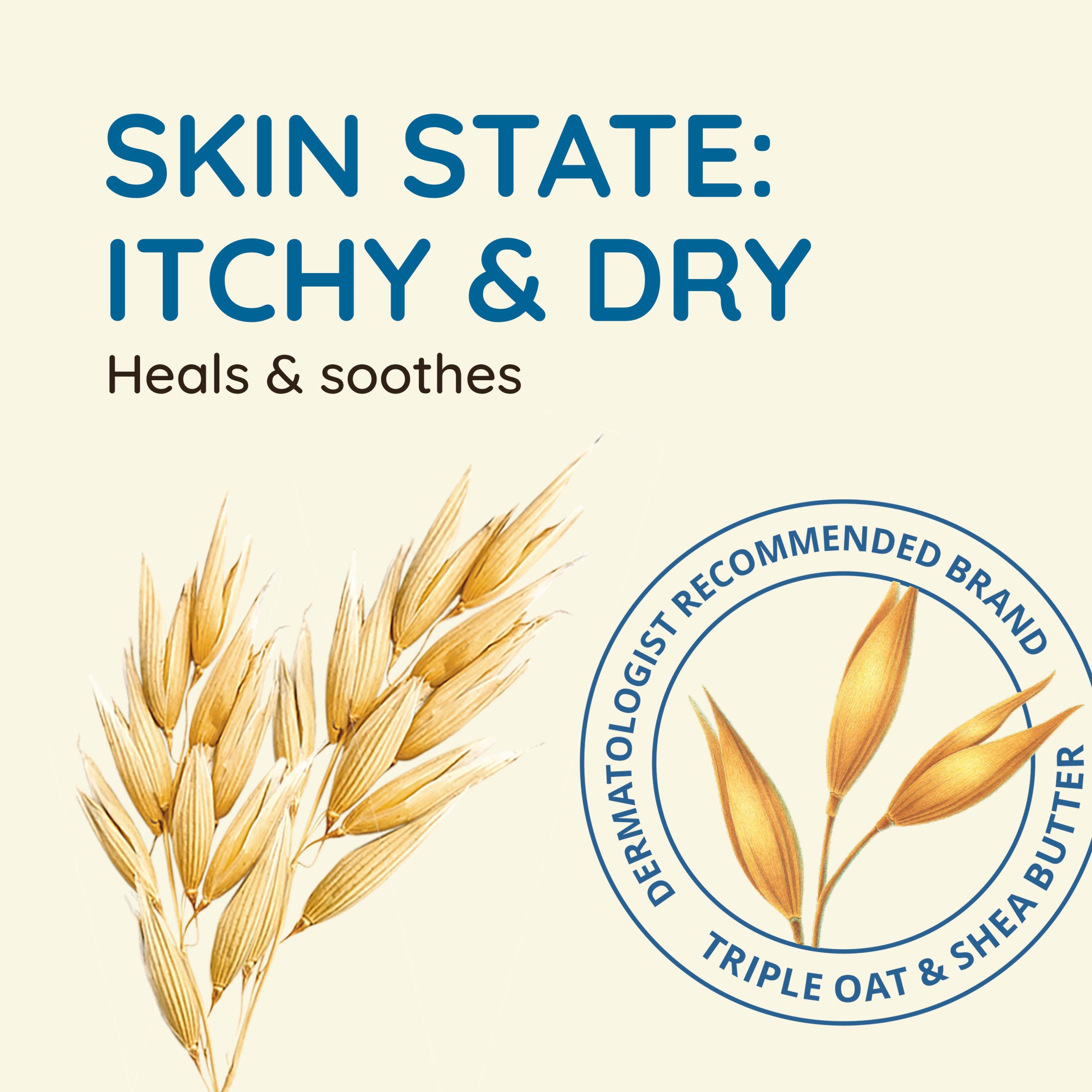 Aveeno Skin Relief Fragrance-Free Body Wash, Sensitive Skin, 18 fl. oz | MTTS356
