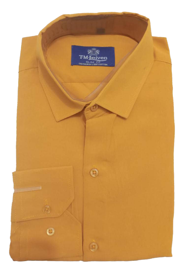 Professional Plain Shirt (Packet Shirt) | DLB44a