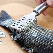 Stainless Steel Fish Scale Scraper for Homes, Hotels, and Restaurants | TCHG237a