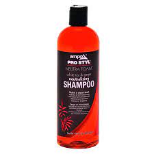 Ampro Neutralizing Foam Shampoo 16oz | AFRS138