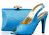 Designer Handbag and Shoe Matching Set | SBK11793D | AFRS365